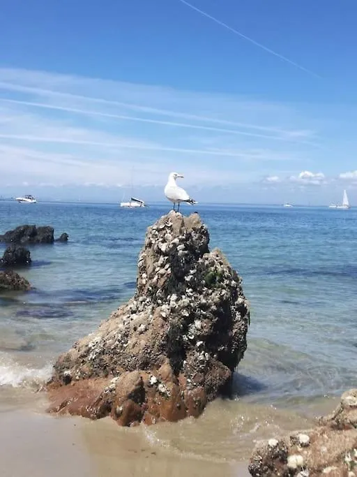 Appartement Independant A 500 Metres De La Mer Saint-Gildas-de-Rhuys